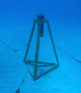 Marine Environmental Studies